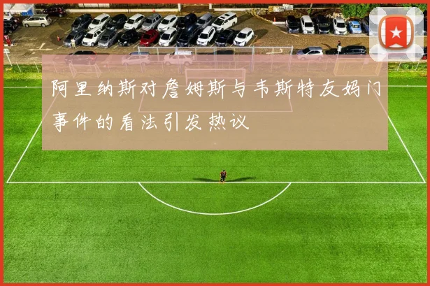 阿里纳斯对詹姆斯与韦斯特友妈门事件的看法引发热议