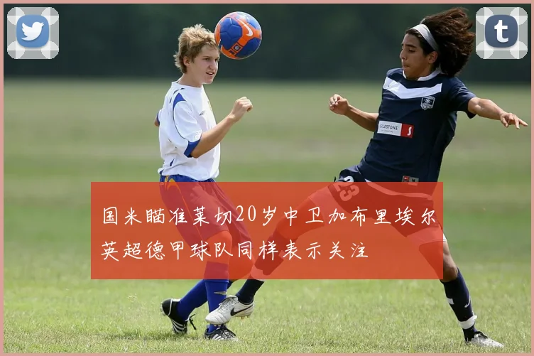 国米瞄准莱切20岁中卫加布里埃尔英超德甲球队同样表示关注