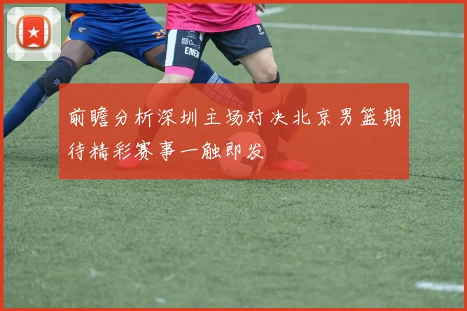 前瞻分析深圳主场对决北京男篮期待精彩赛事一触即发